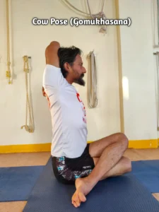 A person seated, one arm reaching overhead and the other behind their back in Cow Pose (Gomukhasana) yoga position.