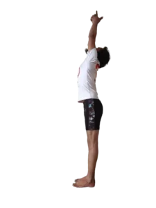 Mahi Yoga Urdhva Hastasana