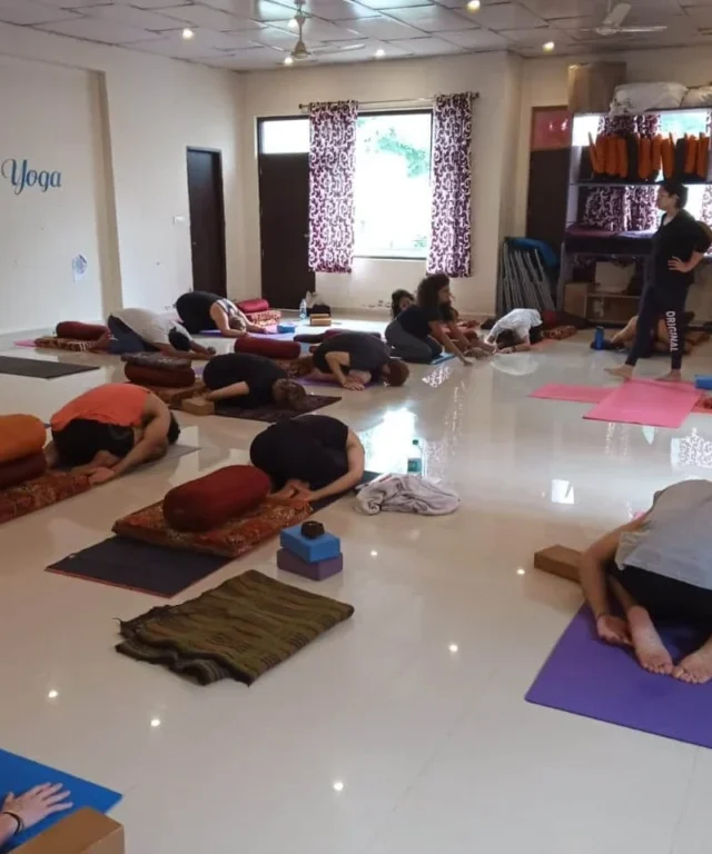 Mahi Yoga School Dharamshala