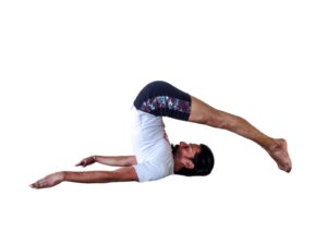 Mahi Yoga Chaturanga (Four-Limbed Staff Pose)
