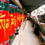 yoga teacher training dharamshala