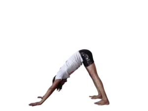 yoga teacher training dharamshala