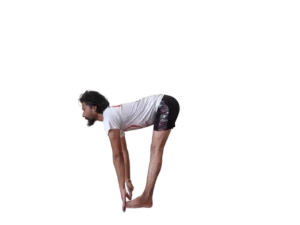yoga teacher training dharamshala