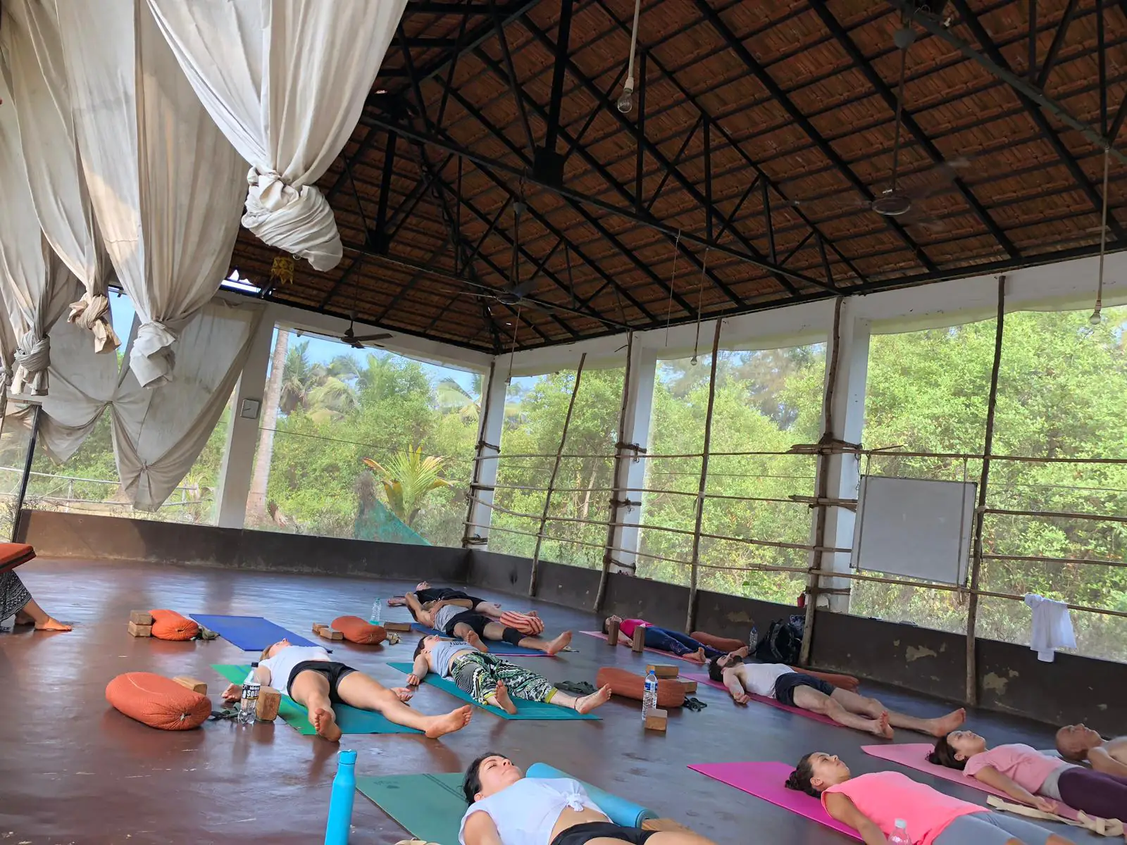 yoga teacher training dharamshala