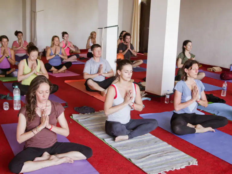 yoga teacher training dharamshala