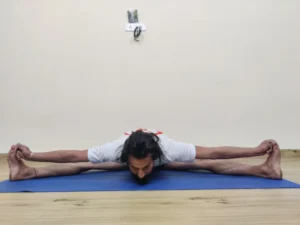 yoga teacher training in dharamshala