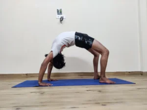 yoga teacher training in dharamshala