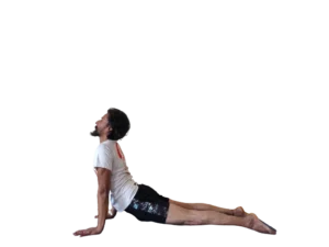 yoga teacher training dharamshala