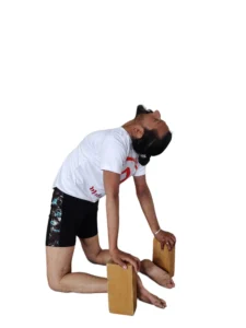 yoga teacher training dharamshala