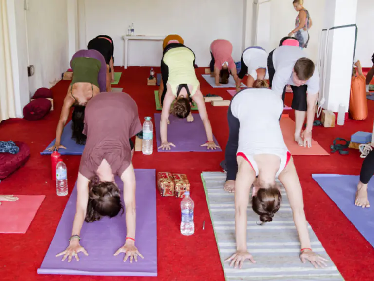yoga teacher training dharamshala