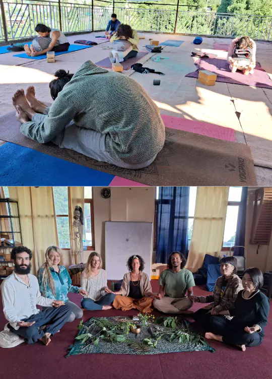 yin yoga teacher training in dharamshala