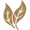 ico-duo-leaf