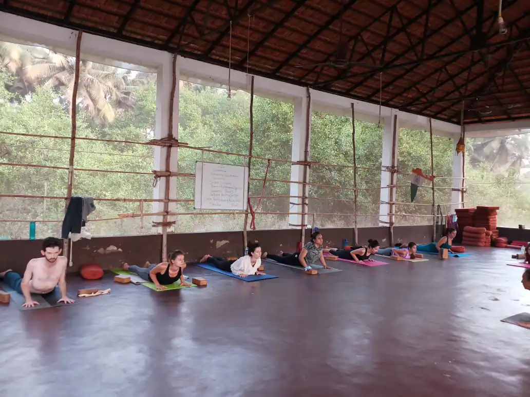 Bhujangasana - Cobra Pose