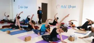 multi-style yoga teacher training India