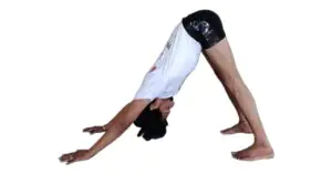 Upward Facing Dog to Downward Facing Dog