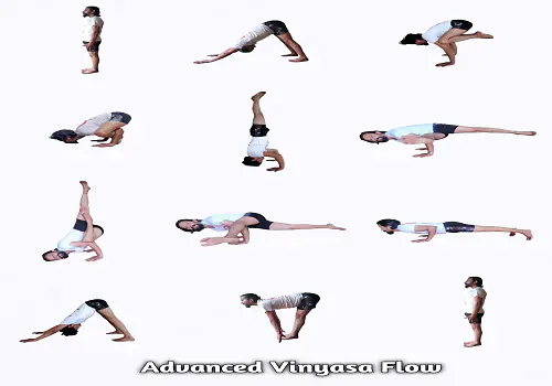 Vinyasa Yoga