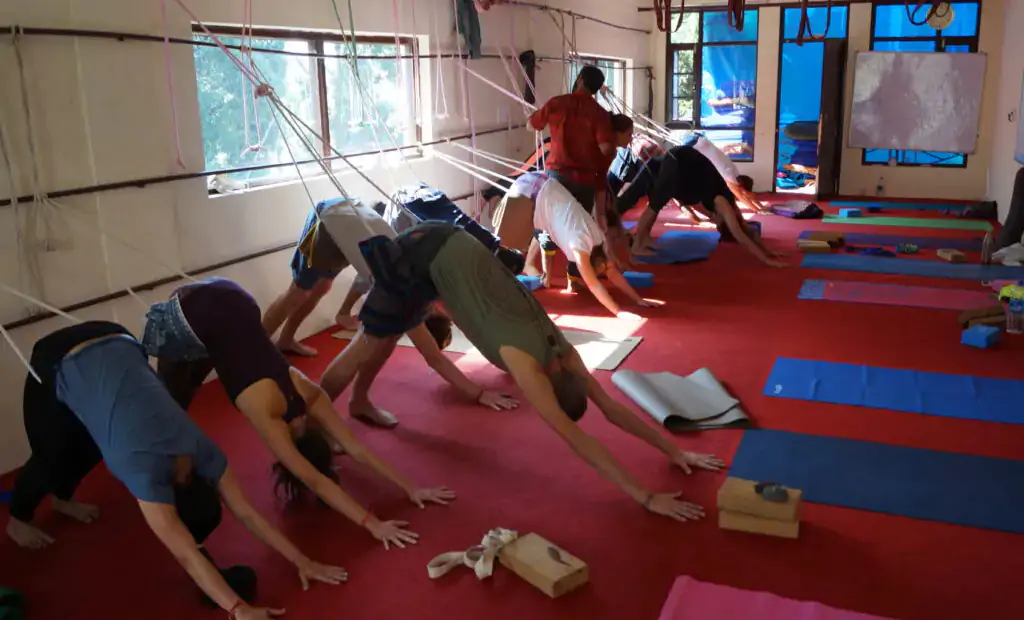 yoga teacher training dharamshala