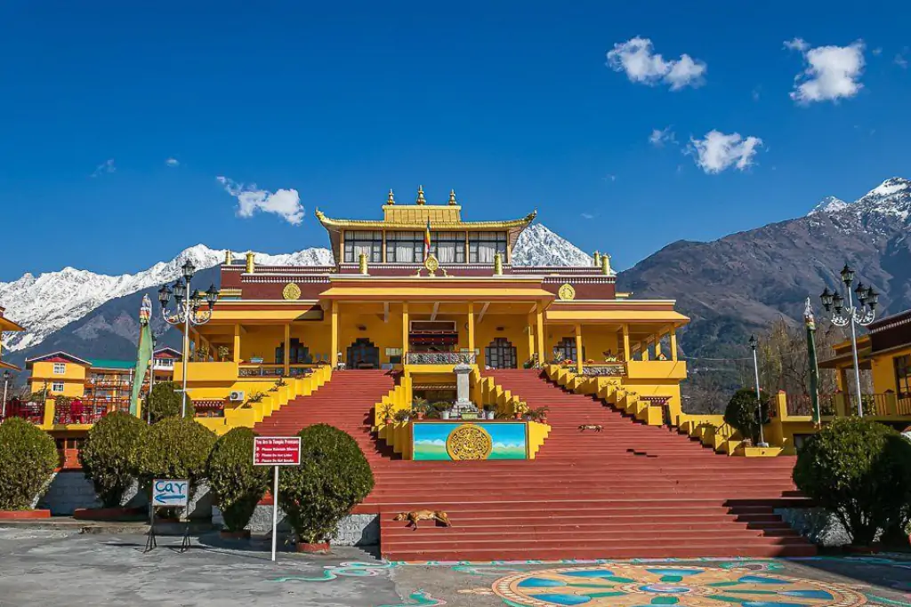 mahiyoga school in dharamsala