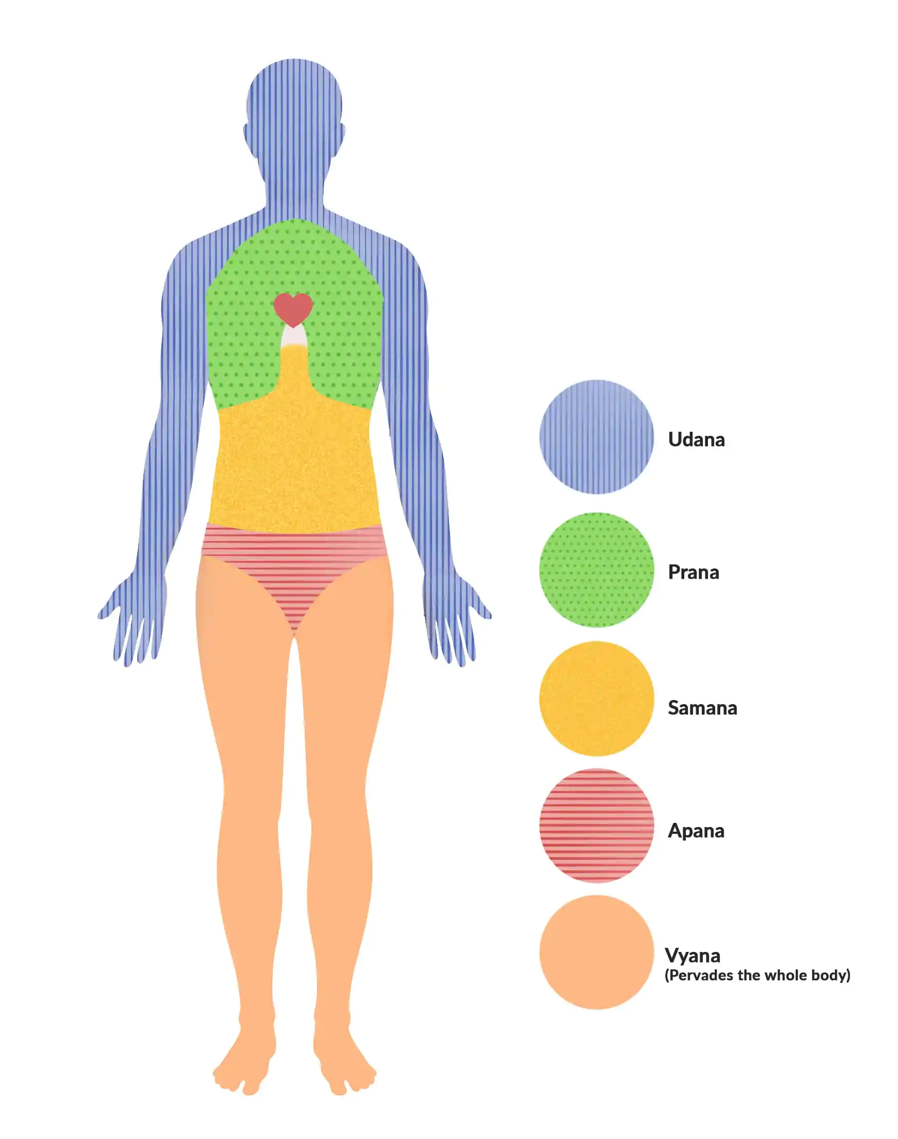 5 Koshas and 3 Bodies